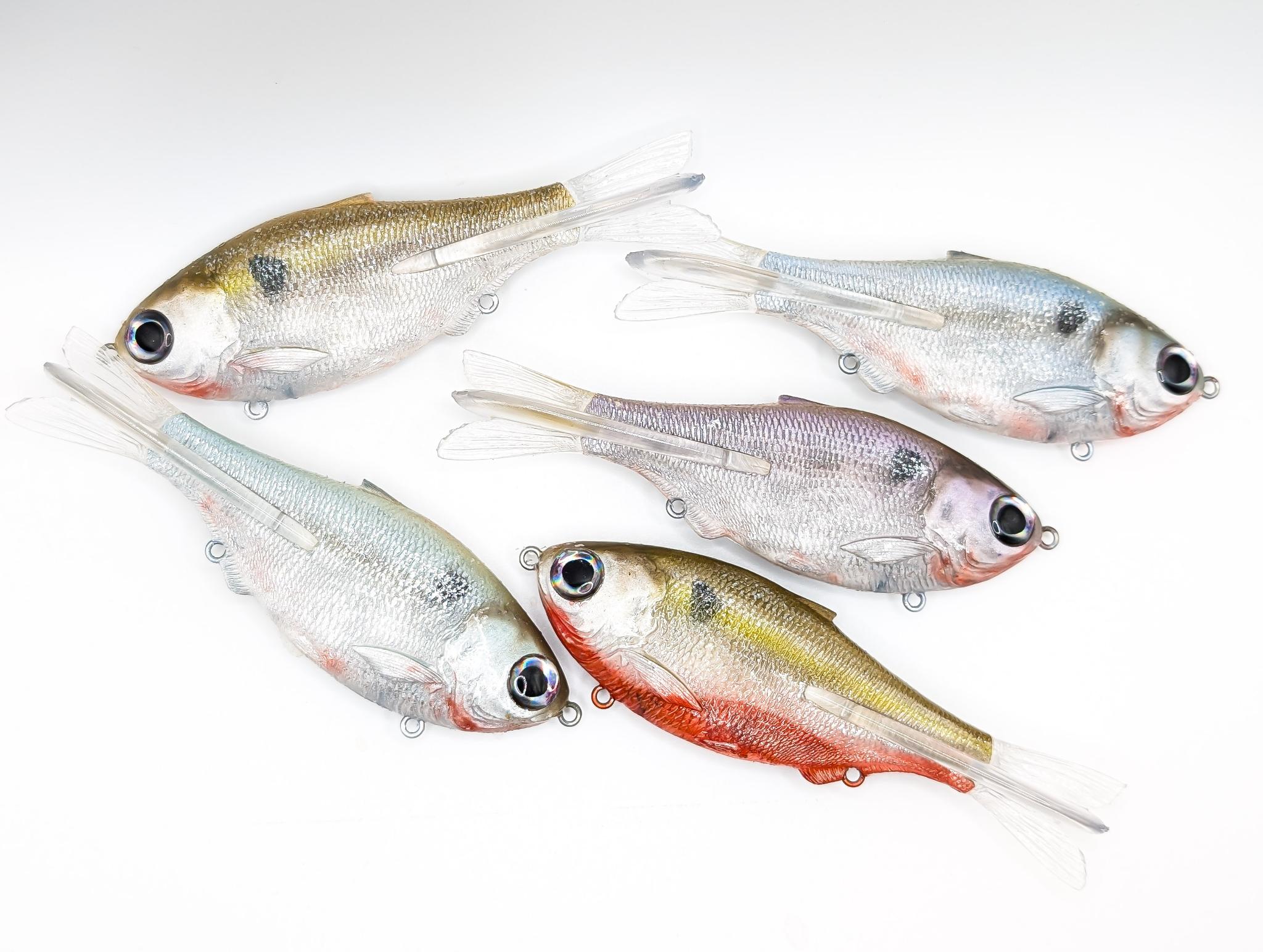Shooter Shad - Fish 30acre Shooter Shad - Fish 30acre