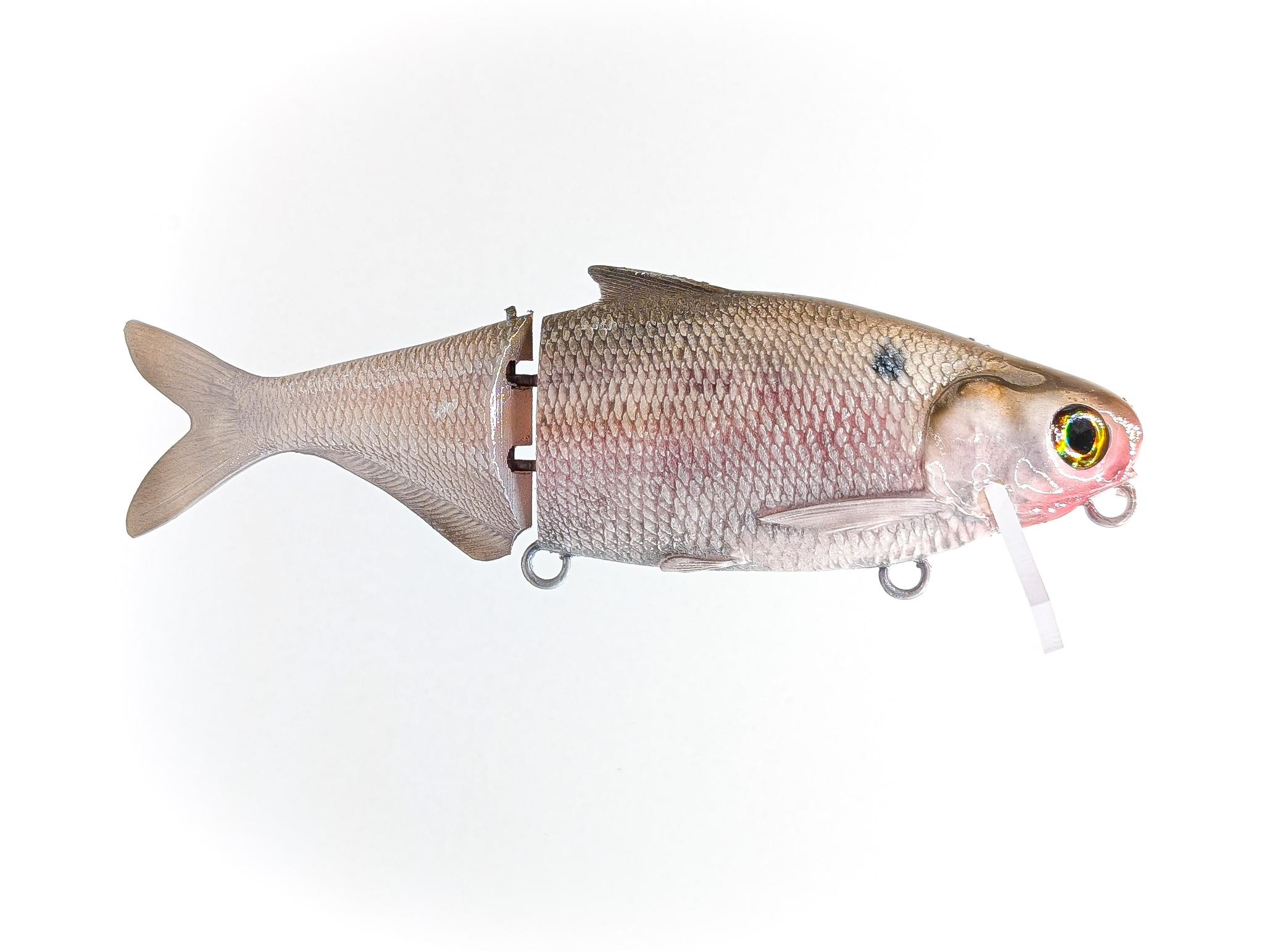 30 acre fishing lures Wake Shad
